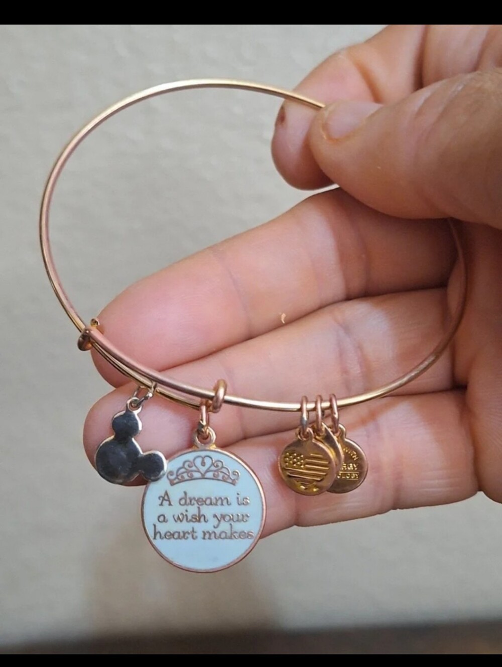 Pretty Alex & Ani Disney Blue Cinderella "A Dream Is A Wish Your Heart Makes".